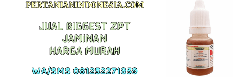 jual,murah,terjangkau,toko pertanian terdekat,pertanian indonesia